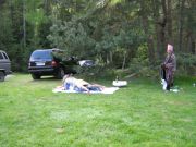 Princ neodolal Tranzulínovu kouzlu