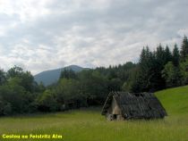 Cestou vzhůru po lesní silničce . Cyklistika se uplatní!