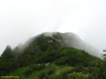 Vrchol v ranní mlze