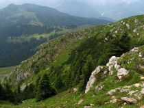 Je slyšet varovné hvízdnutí sviště